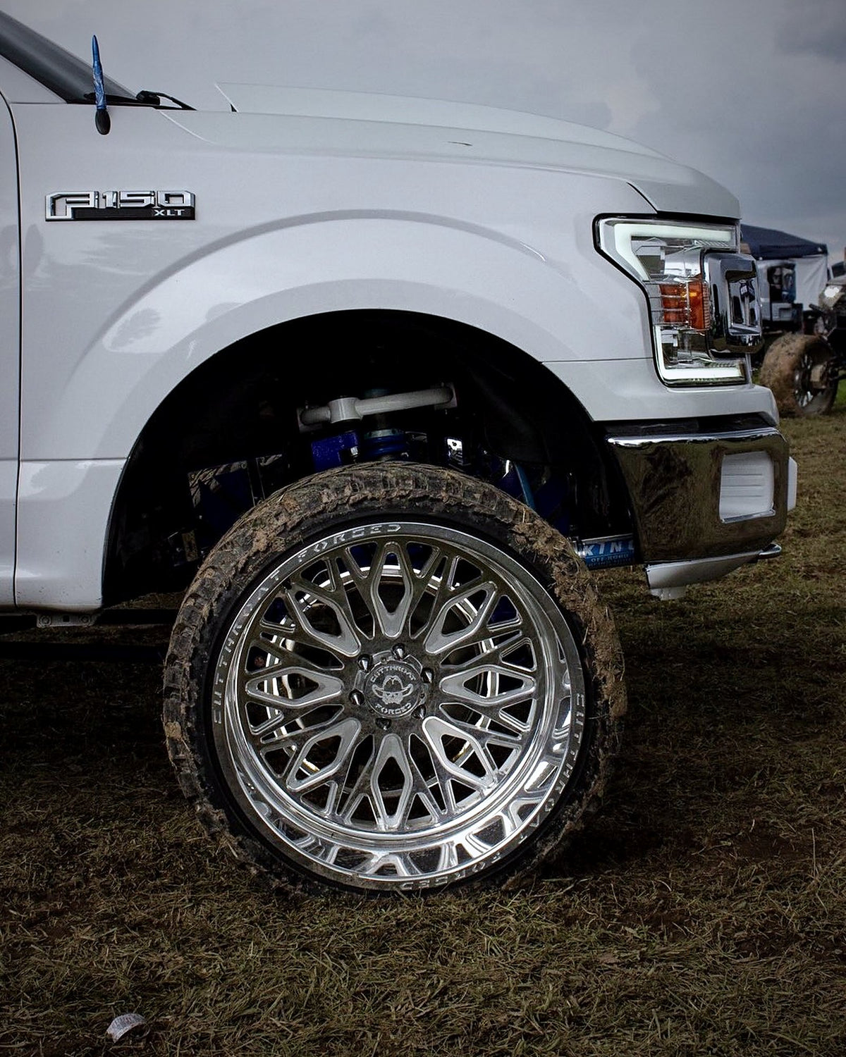 CTF11S Reign · 24x14