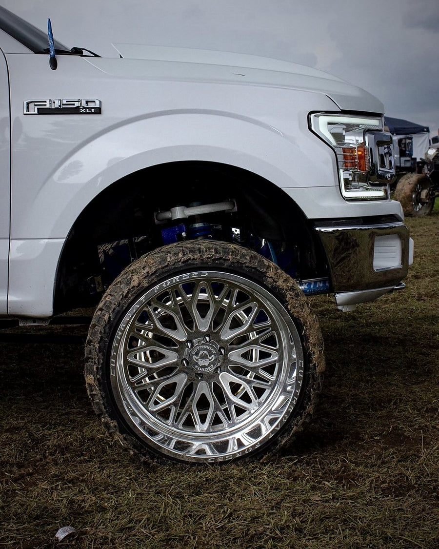 CTF11S Reign · 24x14